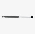 Ameritool 2306666, Marine Stainless Steel Gas Spring 20 Lbs - 15"