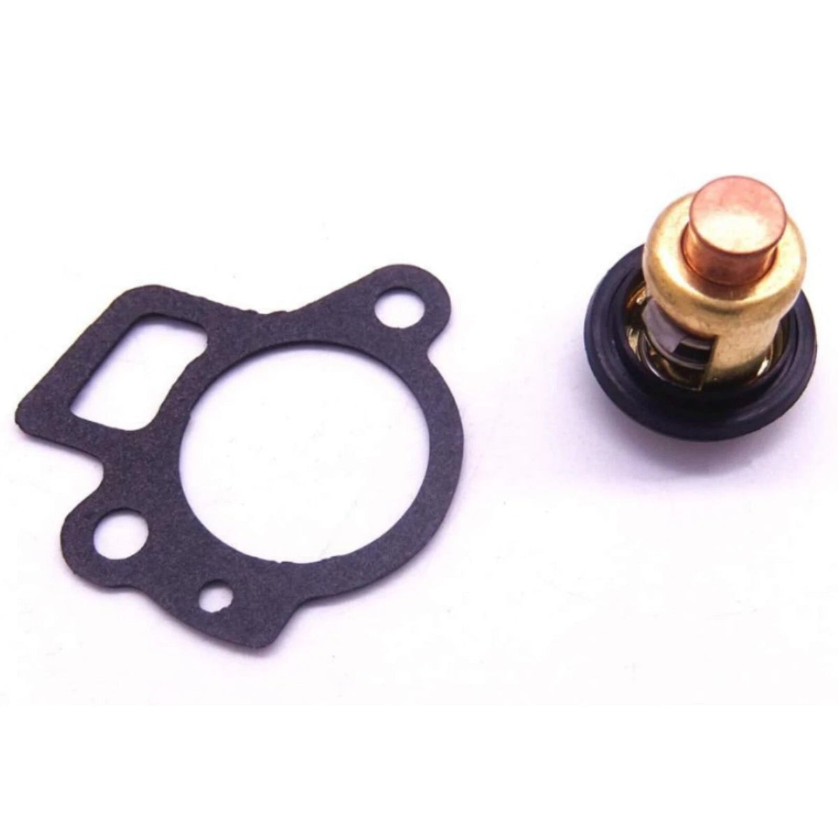 Thermostat Kit for Honda BF 8 9.9 15 20 25 30 40 50 60 100 200 225 (2000–2023)