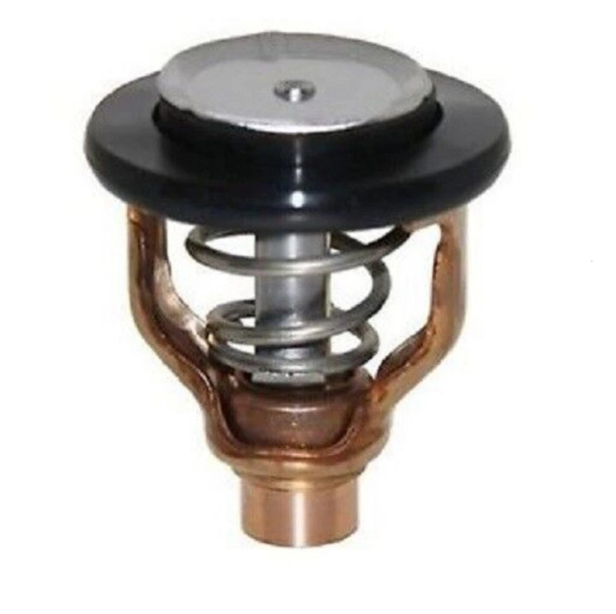 Thermostat Assy for Yamaha F300 & F350 X-ref: 6AW-12411-00-0 0