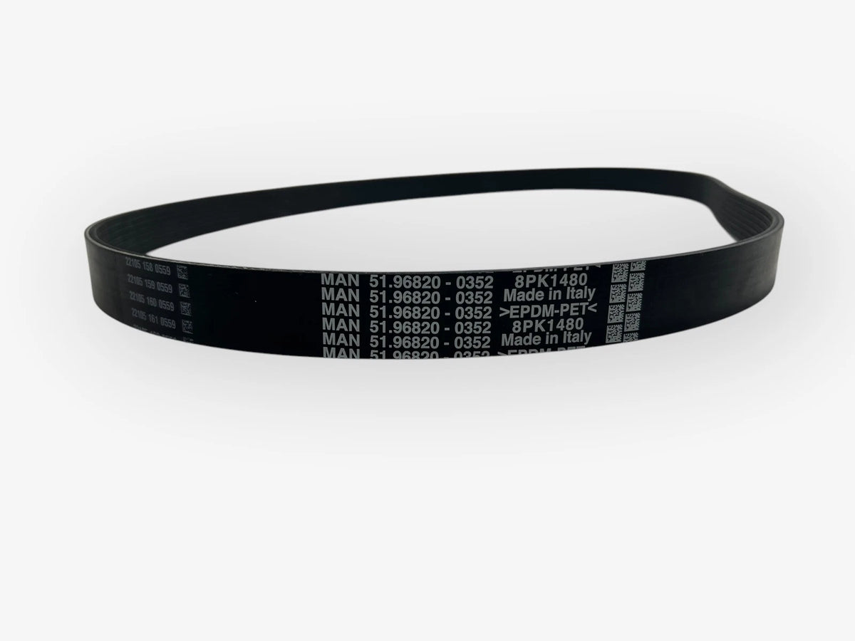 MAN 51.96820-0352, V-Ribbed Belt, , OEM