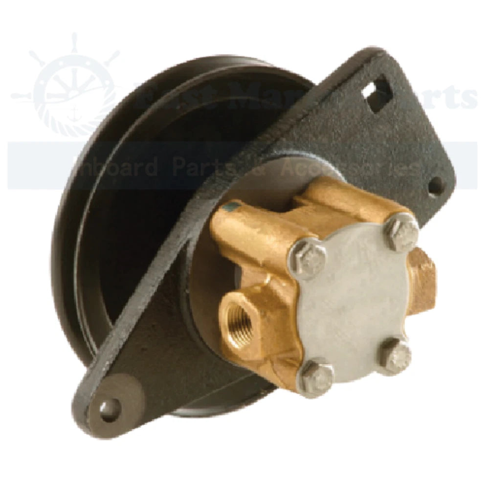 Engine Cooling SeaWater Pump for Cummins Onan 132-0395 132-0430 1320430 1320395