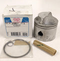'- - Aqua Power 2987, Piston Kit, OEM