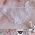 Sheer Mesh Women Underwear Lace Panties Bikini Briefs in Various Colors