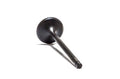 Intake Valve Yamaha YFM 350 Warior 350cc 1987-2004 (see Notes)